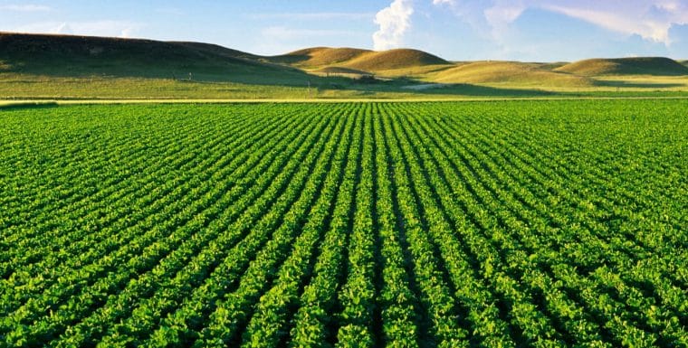 nova lei dos agrotóxicos o que pode mudar nova lei dos agrotóxicos