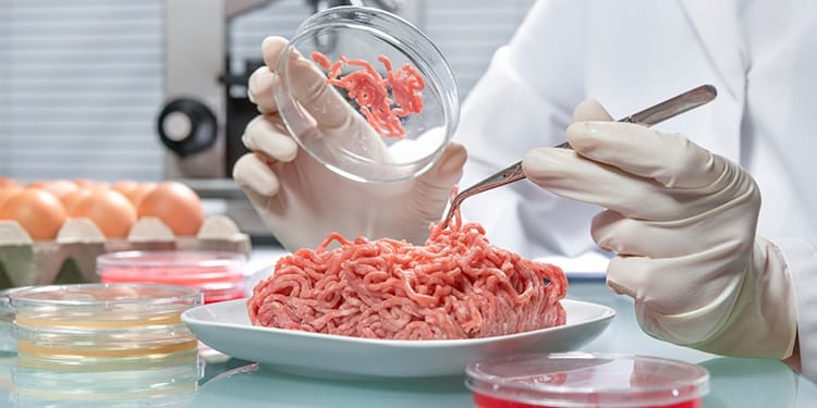 história da segurança dos alimentos Conheça a história da segurança dos alimentos