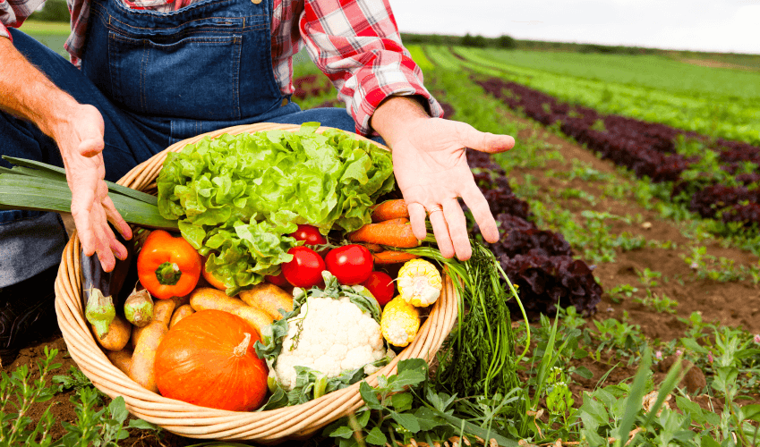 atitudes sustentáveis em UAN  8 atitudes sustentáveis em UAN para um mundo melhor