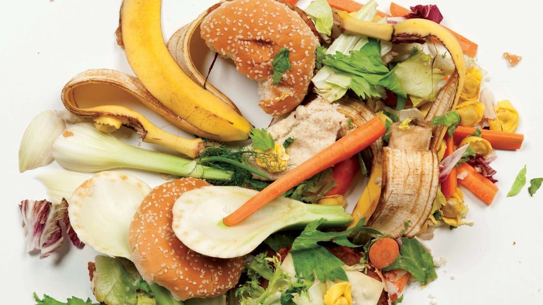 Descarte de alimentos impróprios para o consumo Descarte de alimentos impróprios para o consumo