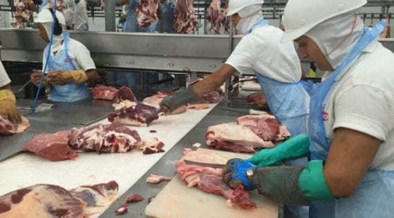 contaminação cruzada em boas praticas