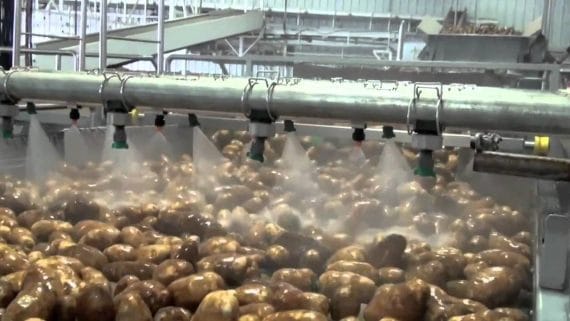 Como manter a qualidade da água na indústria de alimentos Problemas causados pela água imprópria