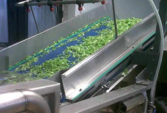 qualidade da água na indústria de alimentos Problemas causados pela água imprópria