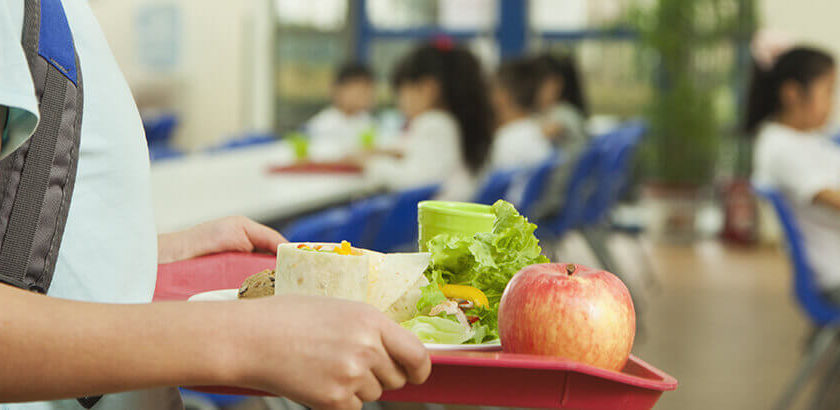 Dinâmicas de educação nutricional para escolas