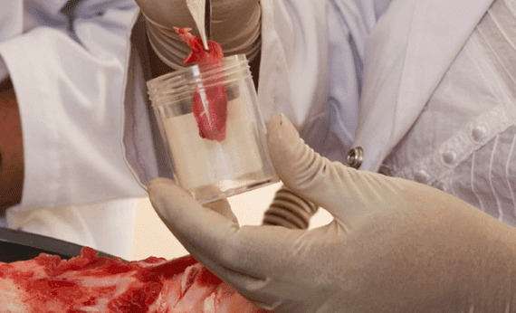 coleta-de-amostra-de-alimentos-meu-cliente-passou-mal