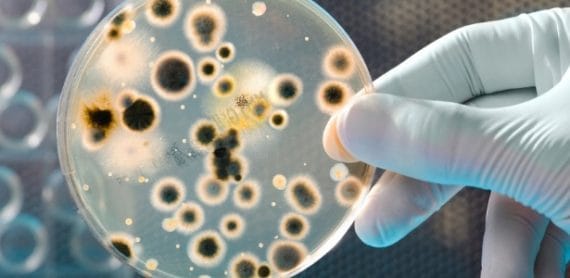 trio microrganismo-meu-cliente-passou-mal