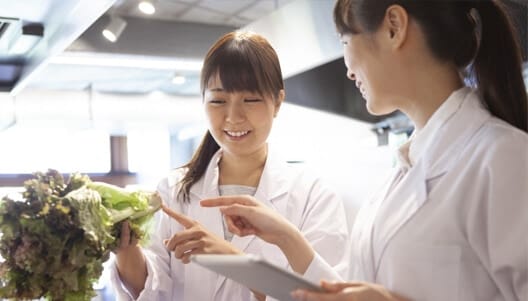 funções da nutricionista de UAN