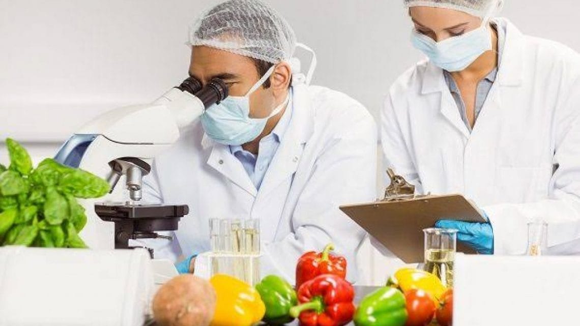 FICHA TÉCNICA COMERCIAL DE ALIMENTOS - ANALISE MICROBIOLOGICA