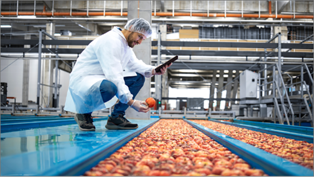 Profissionais de auditoria inspecionando práticas de manuseio de alimentos para garantir a segurança e higiene em todas as etapas de produção.