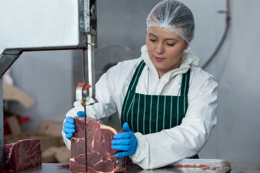 Boas Práticas para Manipulação de Carnes Boas Práticas para Manipulação de Carnes