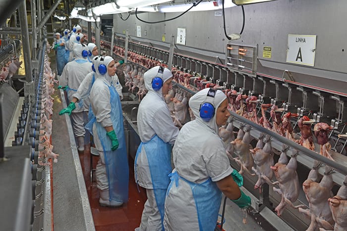 inspeção do SIF ou SIM